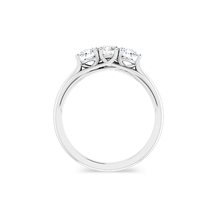 Three Stone Moissanite Anniversary Band in Sterling Silver (3/4 ctw)